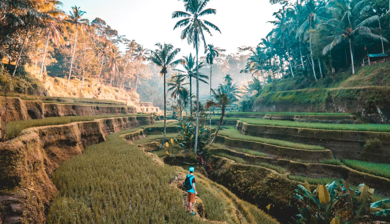 Bali, Indonésia: Guia Completo