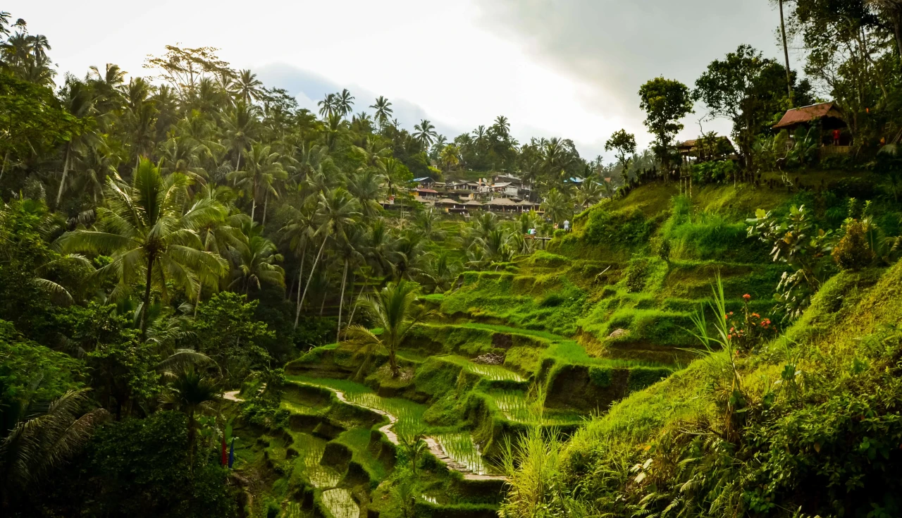 Bali, Indonésia: Guia Completo