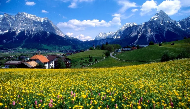 frança guia 2025 2026