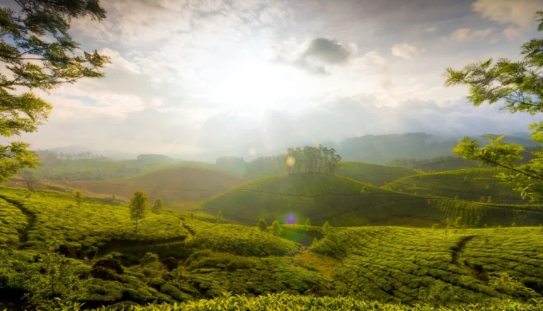 Guia Completo da Índia