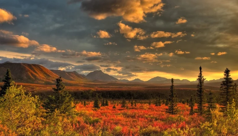 Guia Completo da Índia