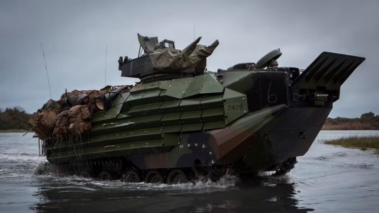 AAV-7A1